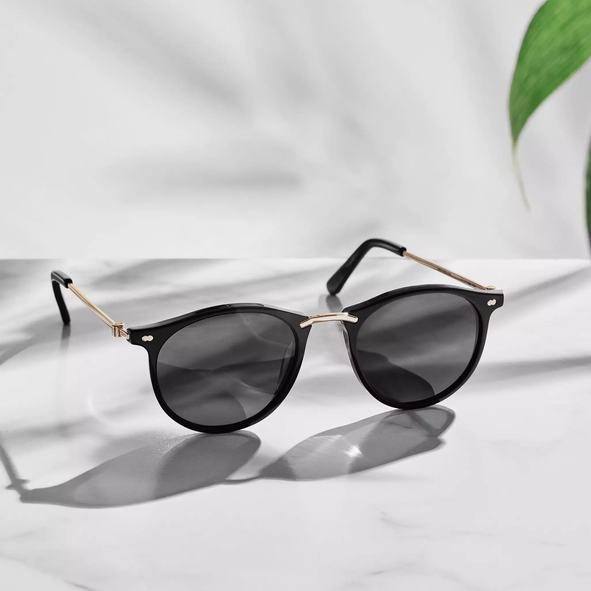 Christopher Cloos Men Pacifica - Noire Sun Prescription 7 Christopher Cloos Men Pacifica - Noire Sun Prescription