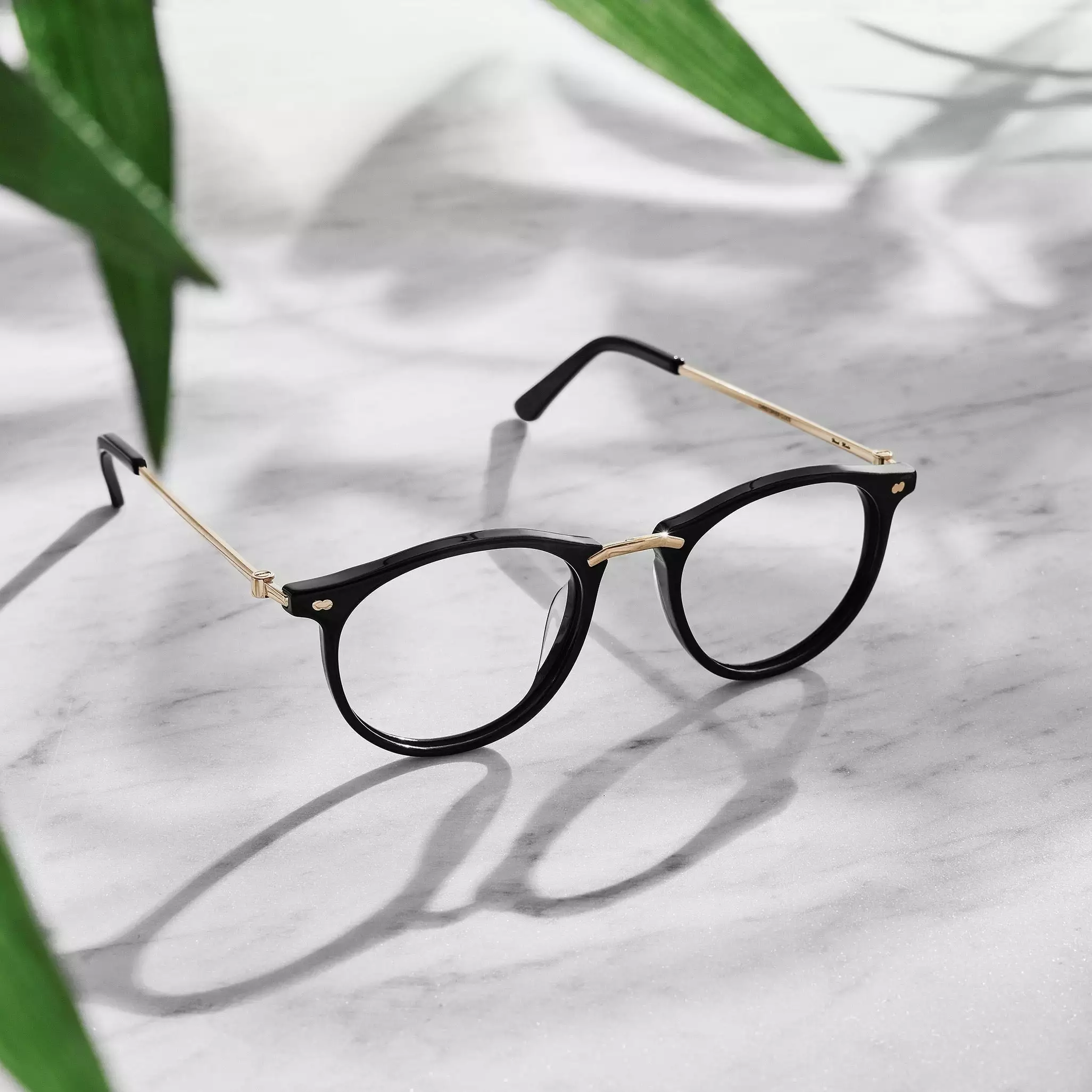 Christopher Cloos Pacifica - Bourbon Prescription 7 Christopher Cloos Pacifica - Bourbon Prescription